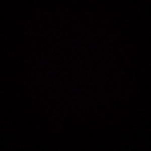 日日操夜夜操天天操
